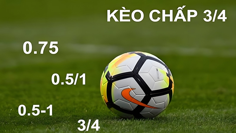 Kèo 0 75 Là Gì | Cách Chơi, Mẹo Chiến Thắng Cùng Xoài TV Ngay