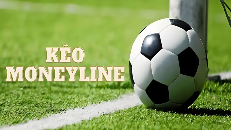Moneyline Là Gì Cùng Xoài TV Khám Phá Cách Bắt Kèo Mới Nhất