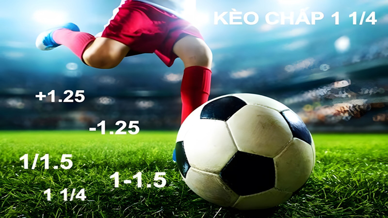 Kèo Tài Xỉu Là Gì? Xoài TV Hướng Dẫn Anh Em Cách Chơi Chi Tiết